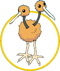 DODUO
