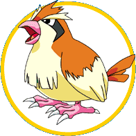 PIDGEY
