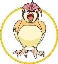 PIDGEOTTO
